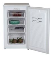 Ремонт холодильников WEST FR-1001
